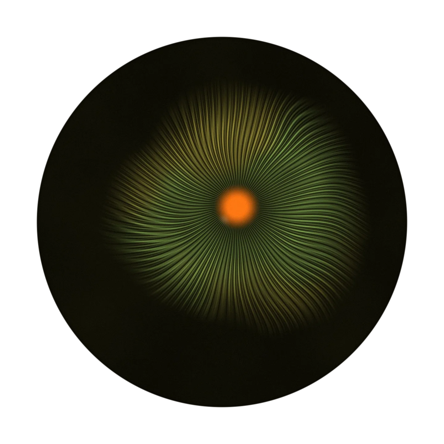 ARSON cover