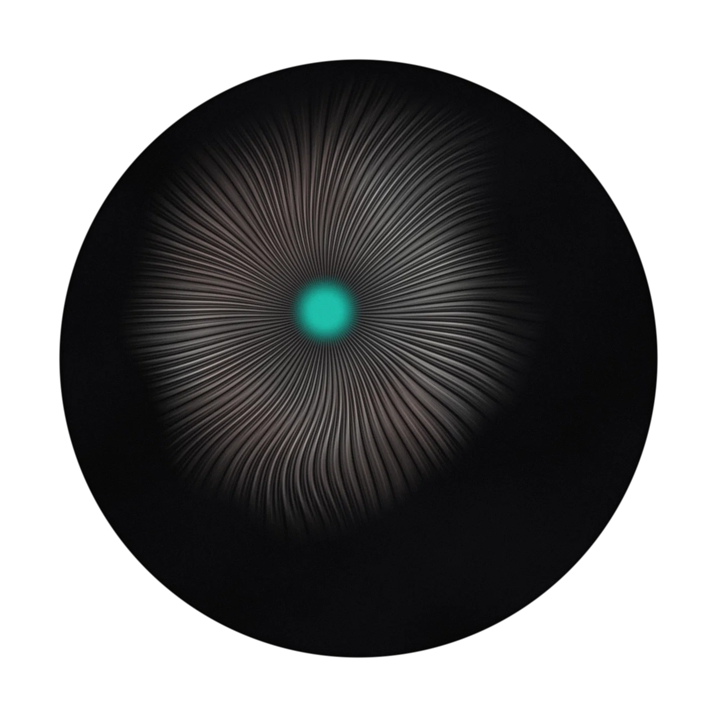BIO cover