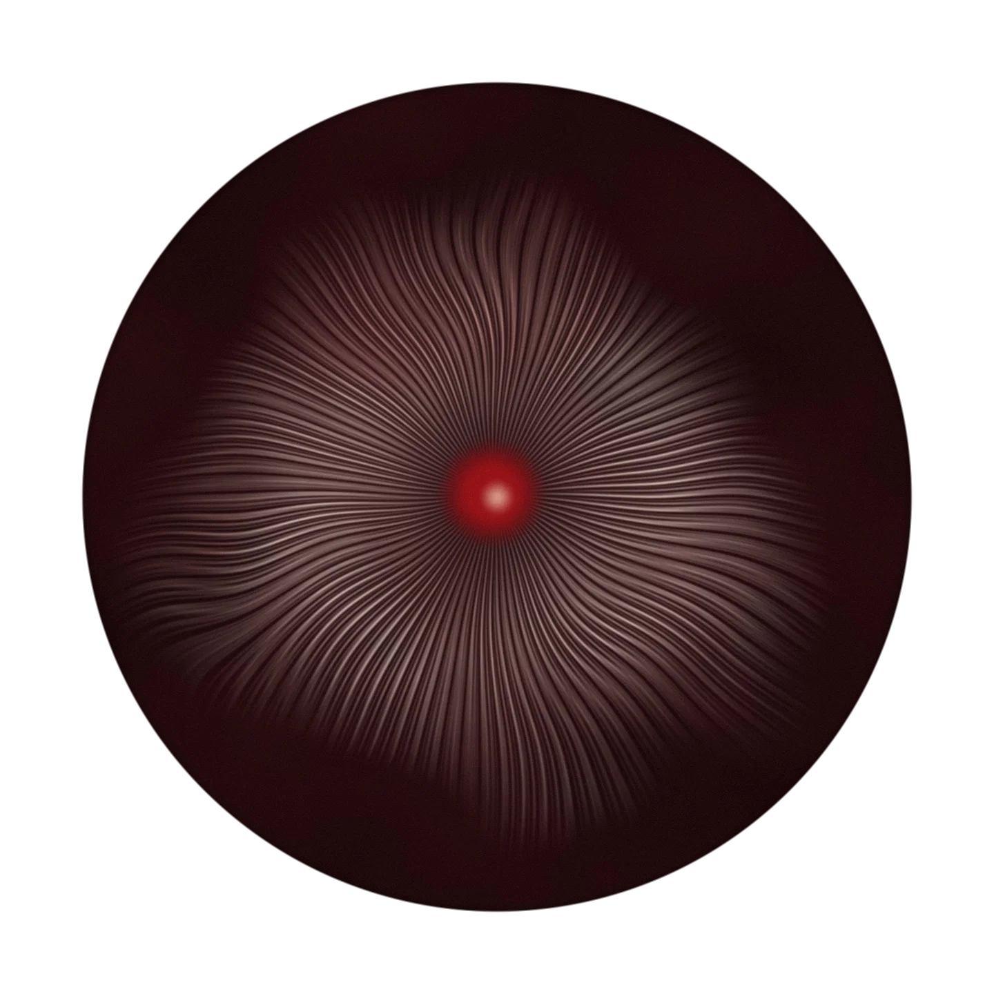 BRAIN cover