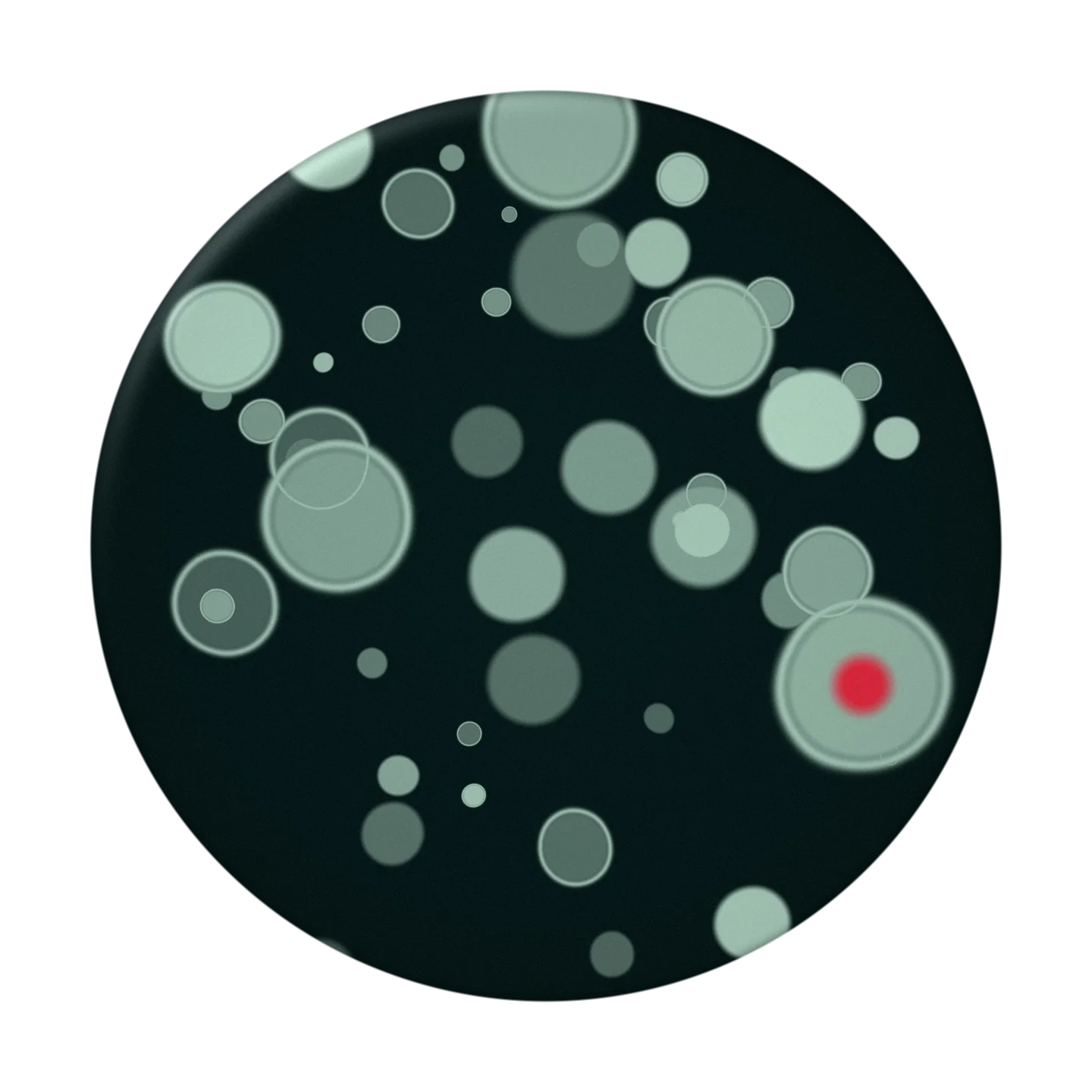 BUNDLE cover