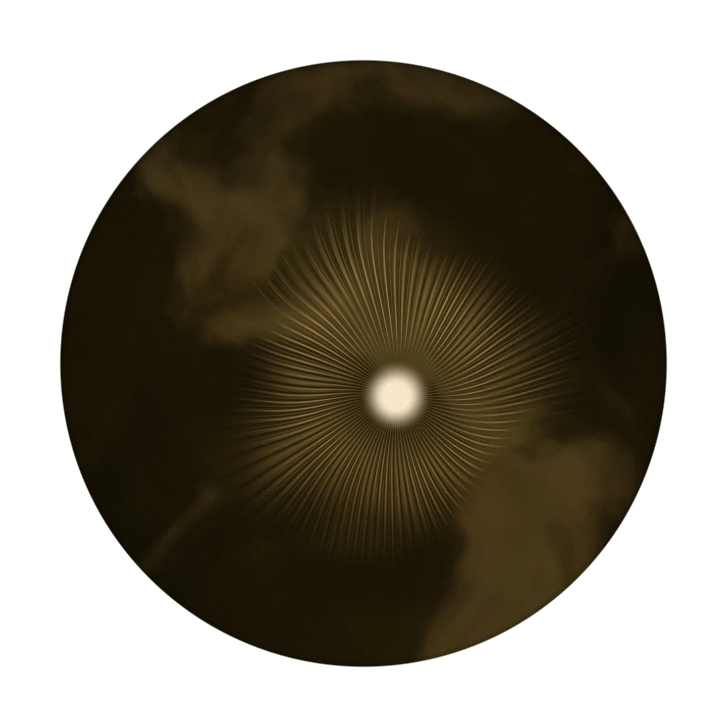 CATACOMB cover