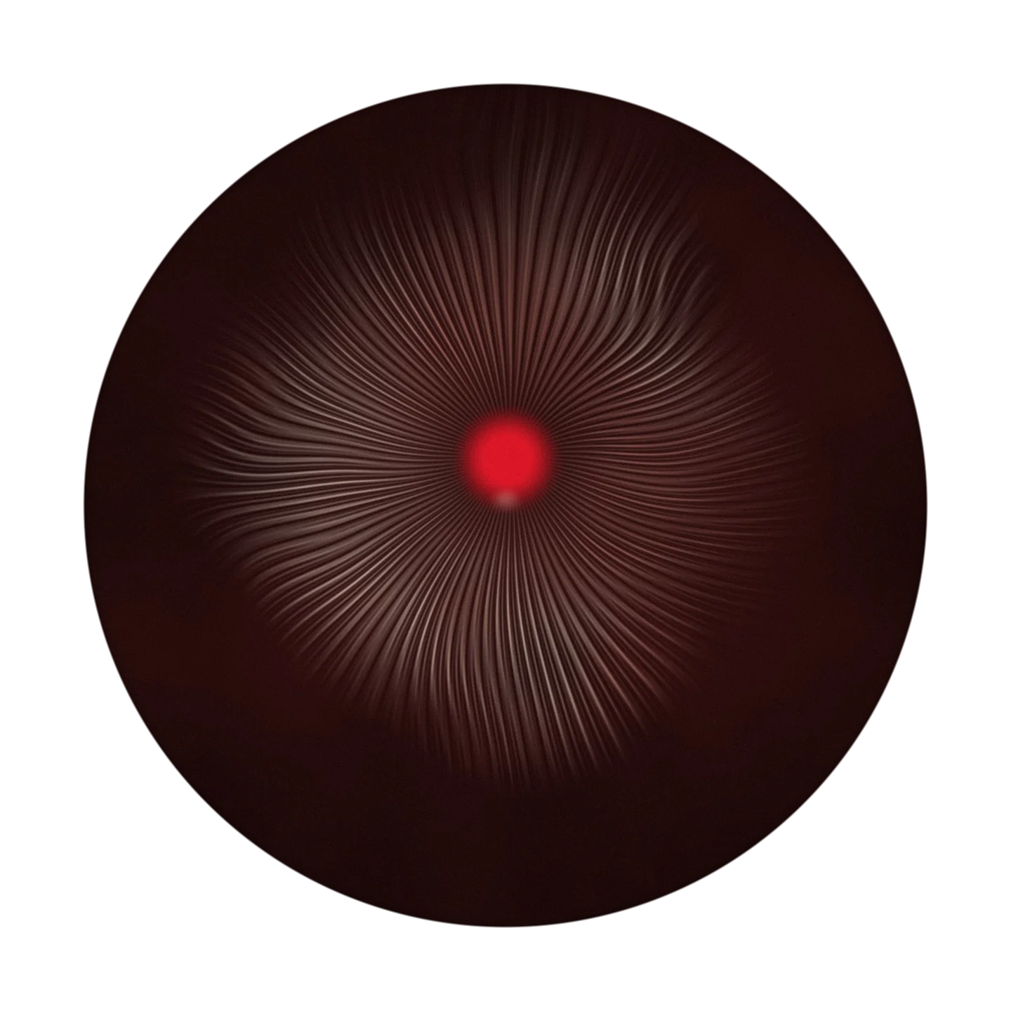 CHAOS cover