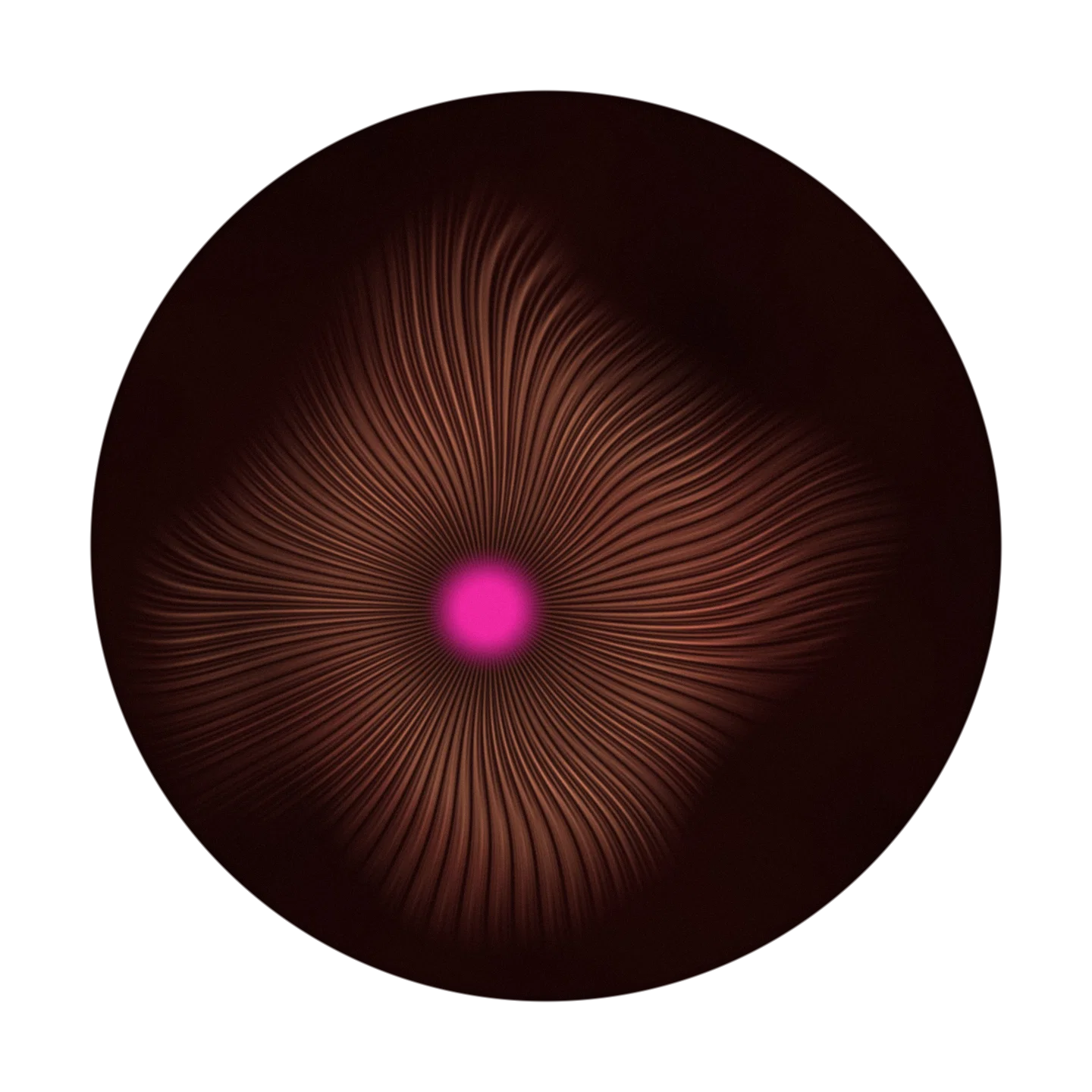 CHATGPT cover