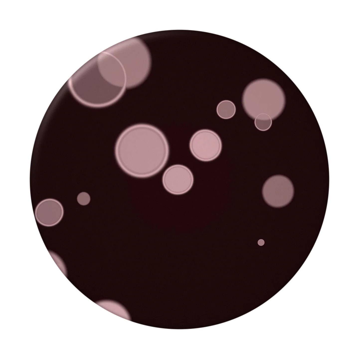 COOKIE cover