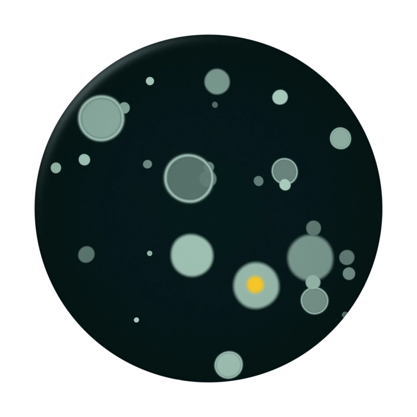 HARBOUR cover