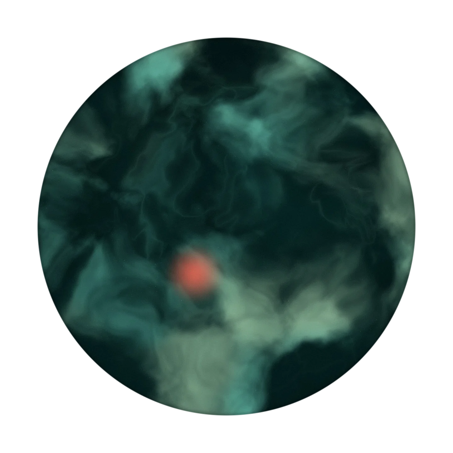 HICKORY cover