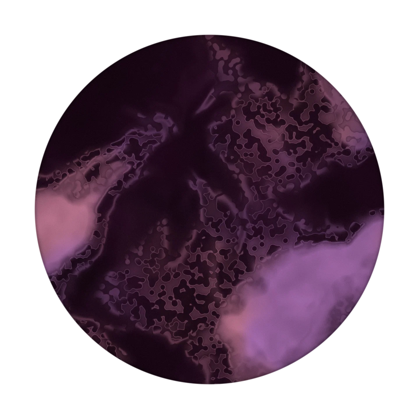 HOLLOWED cover