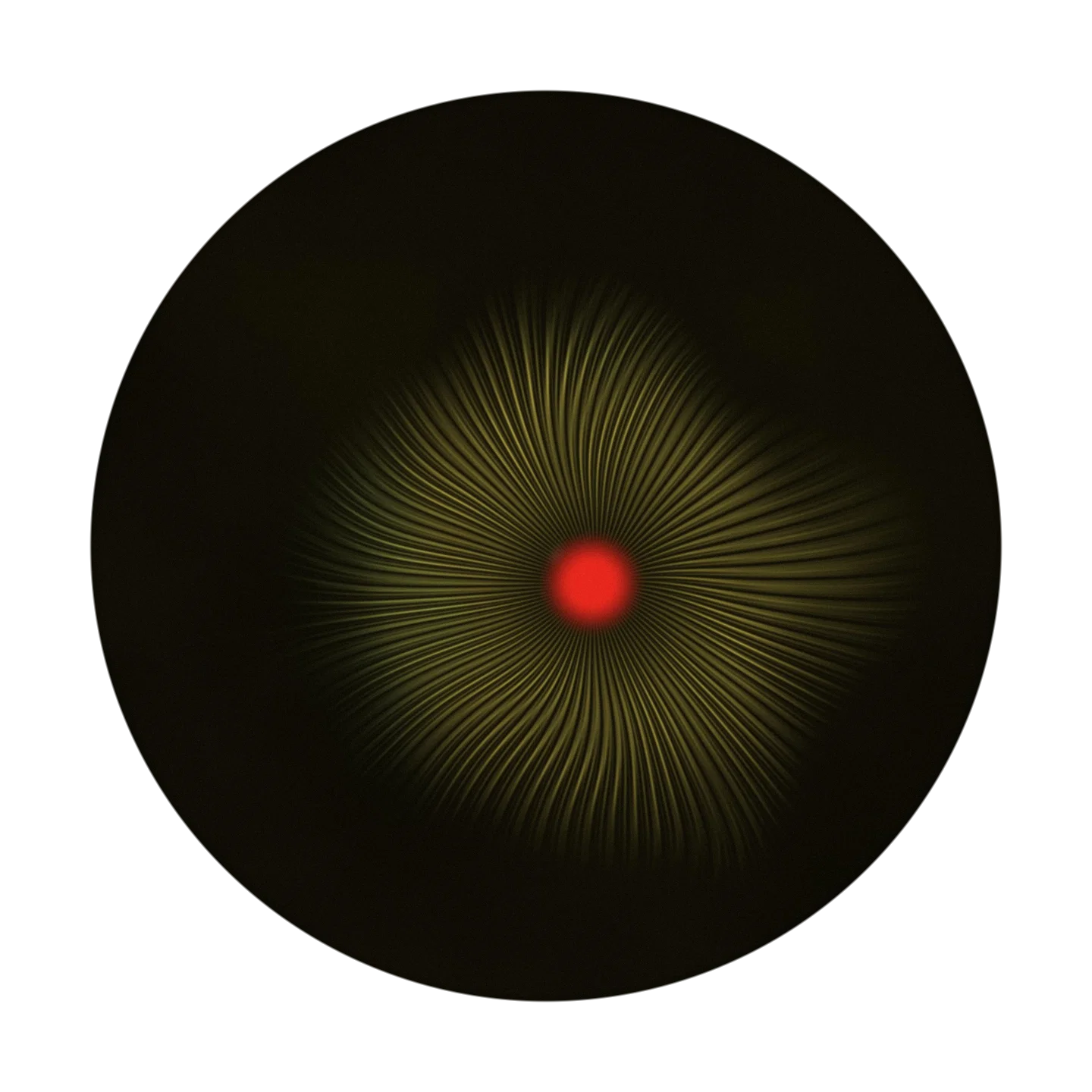 HUNDO cover