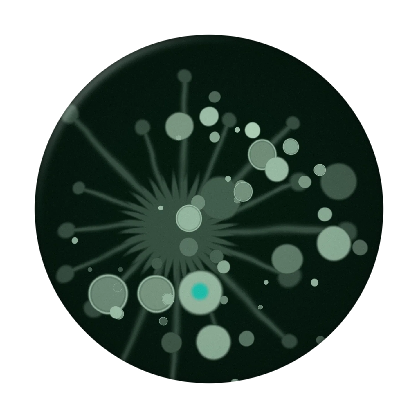 INPUT cover