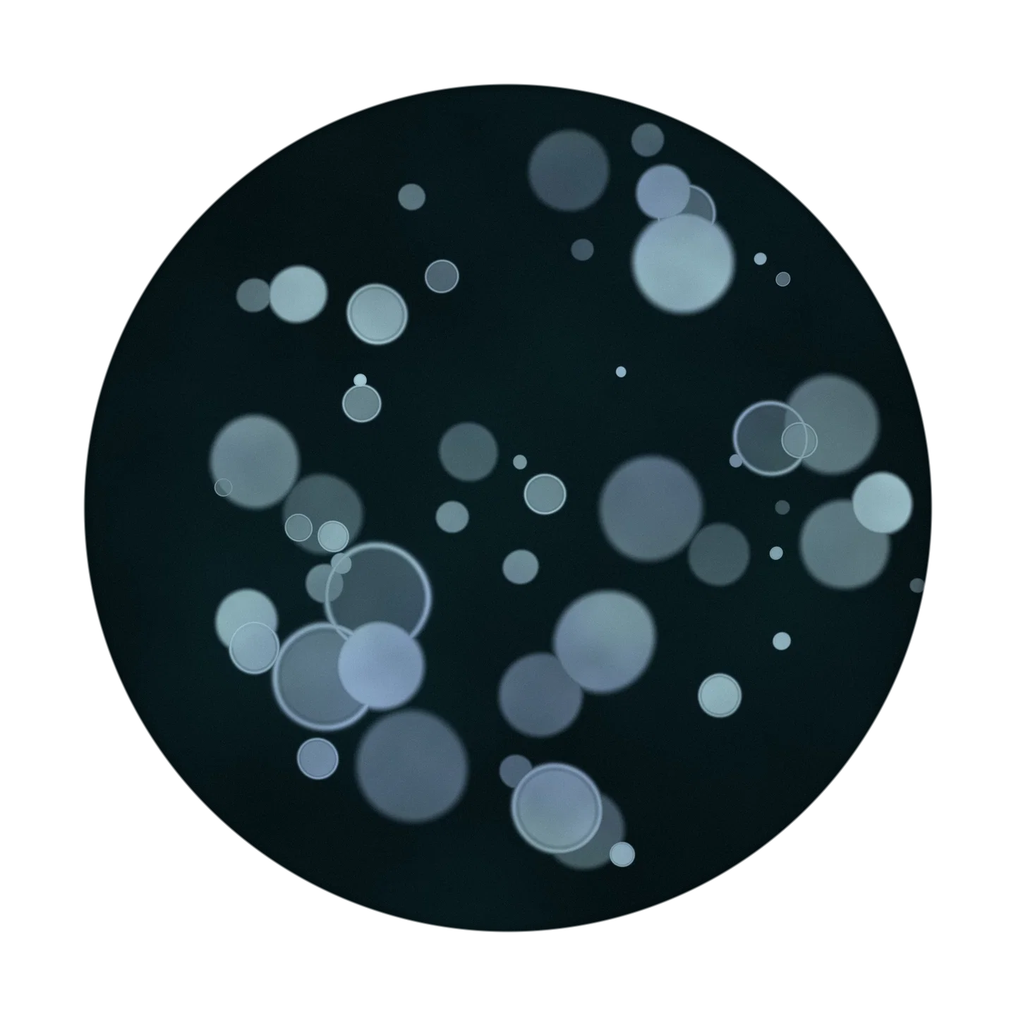 INTERSECT cover