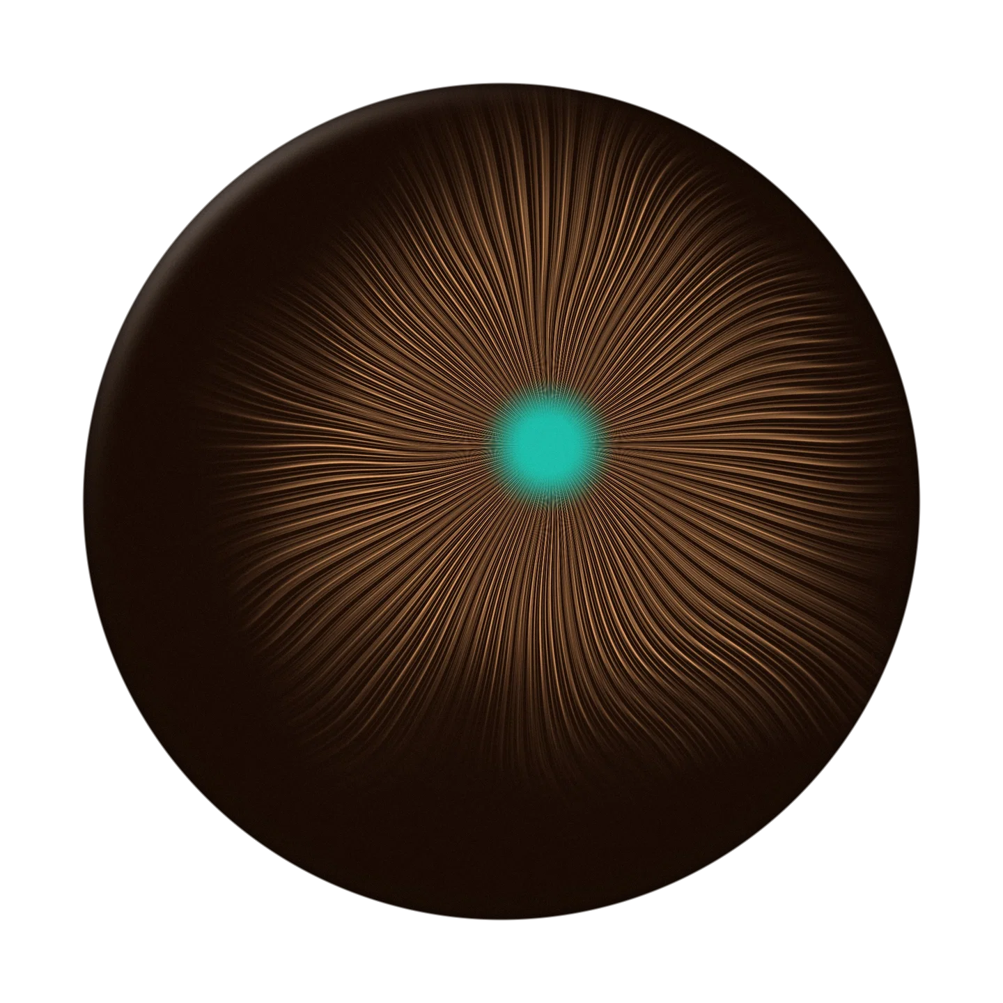 MINERALS cover