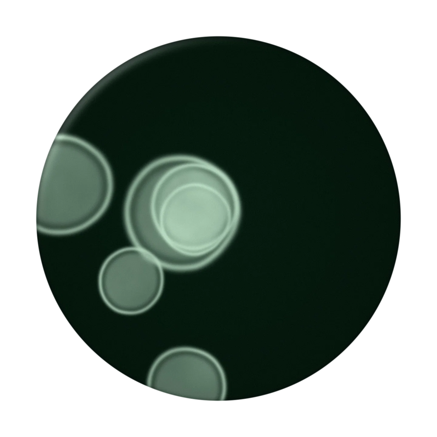 MIST cover