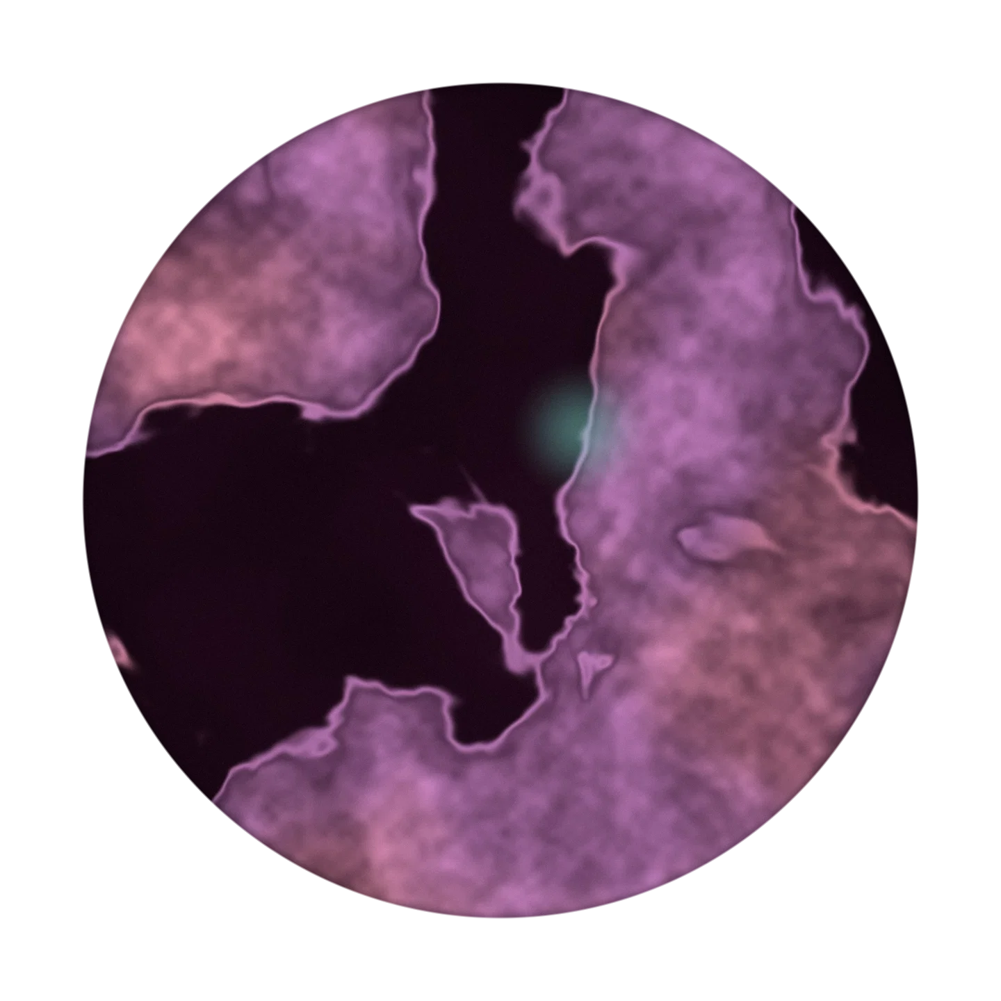 OVERCAST cover