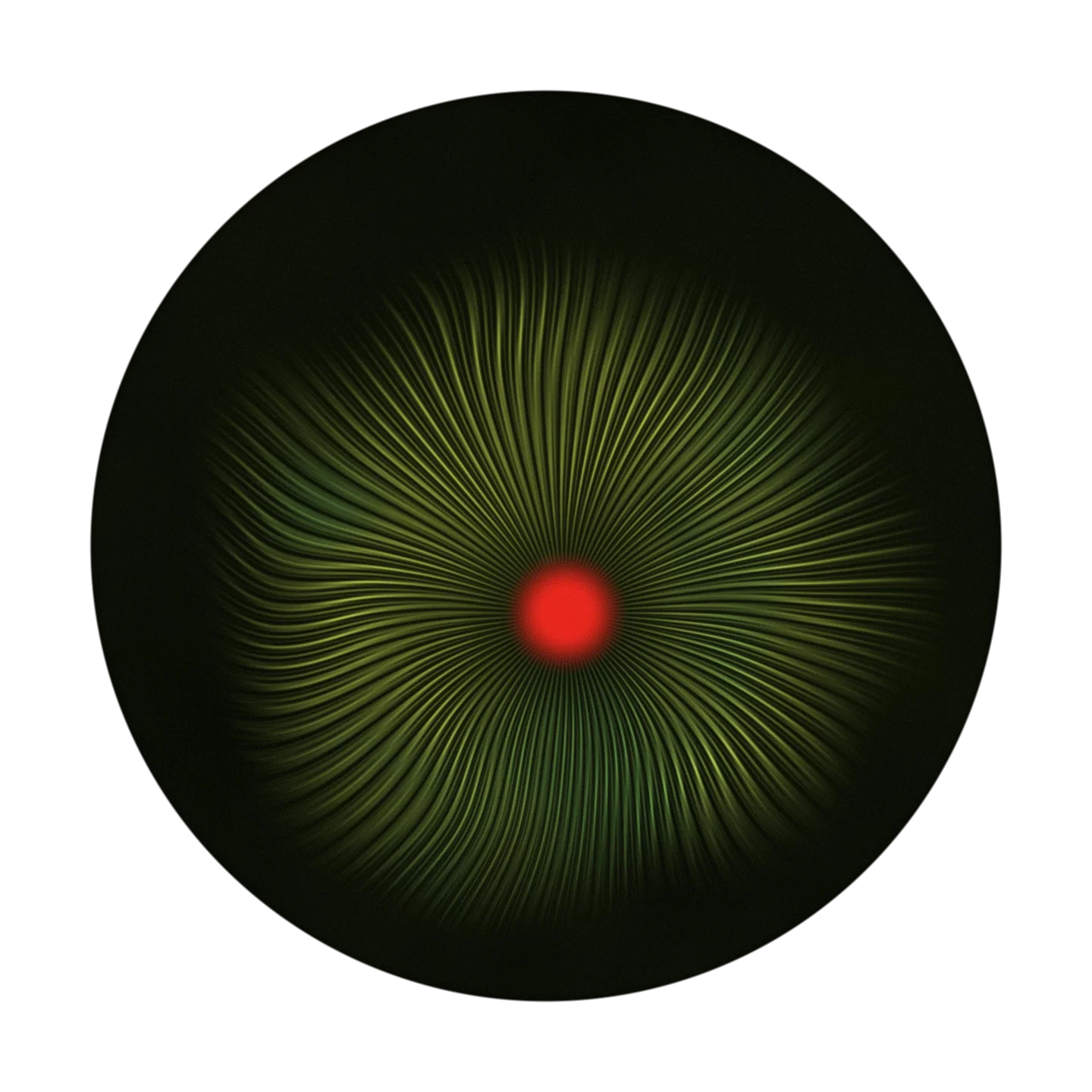 PEMDAS cover