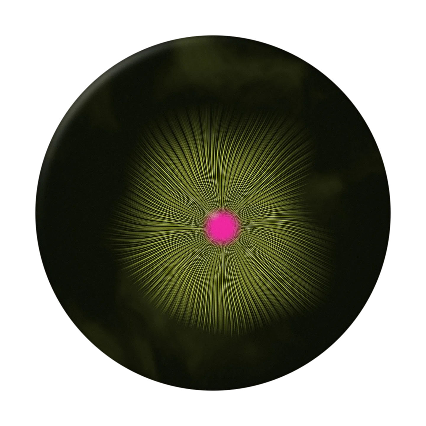 TURBINE cover