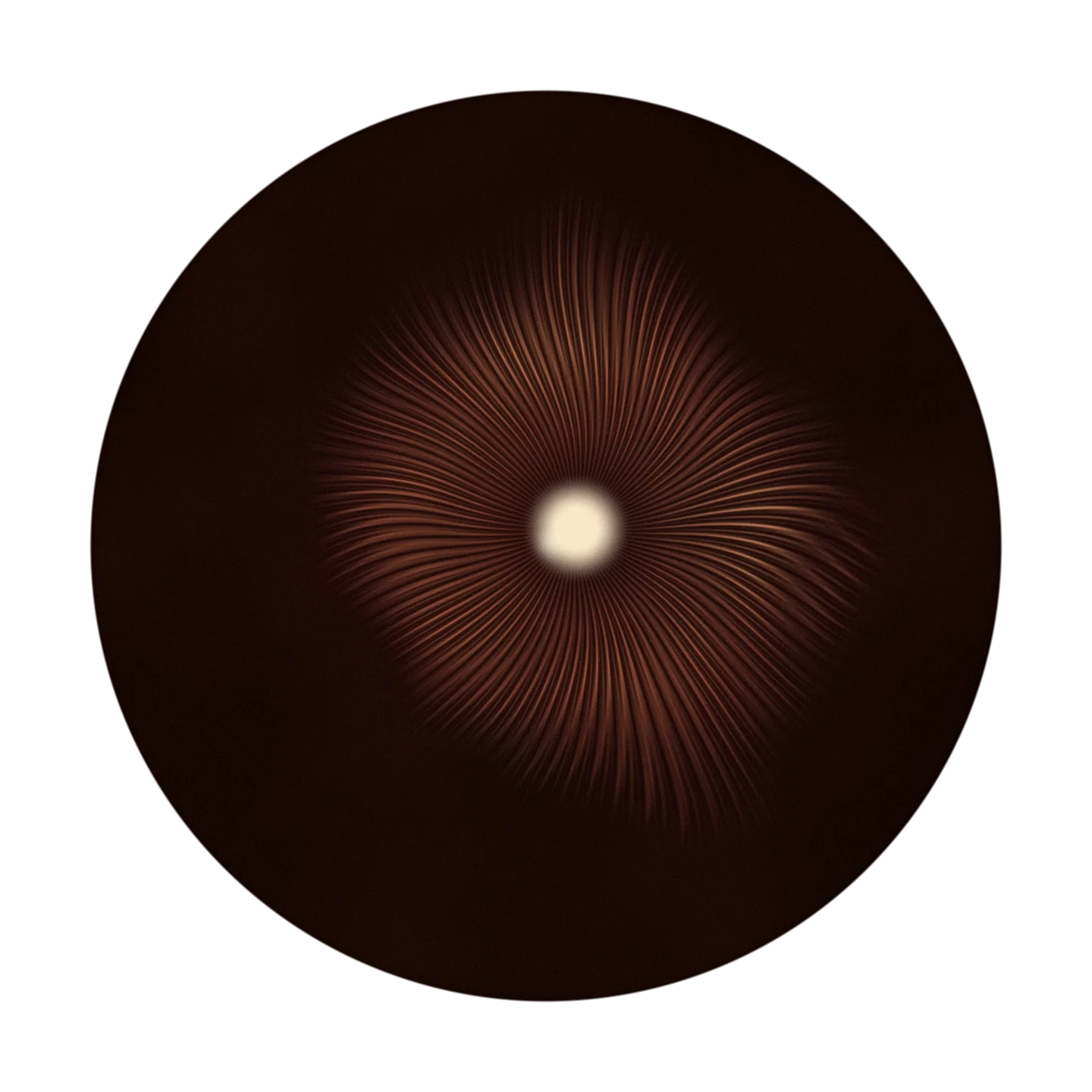 TWENTYTHREE cover