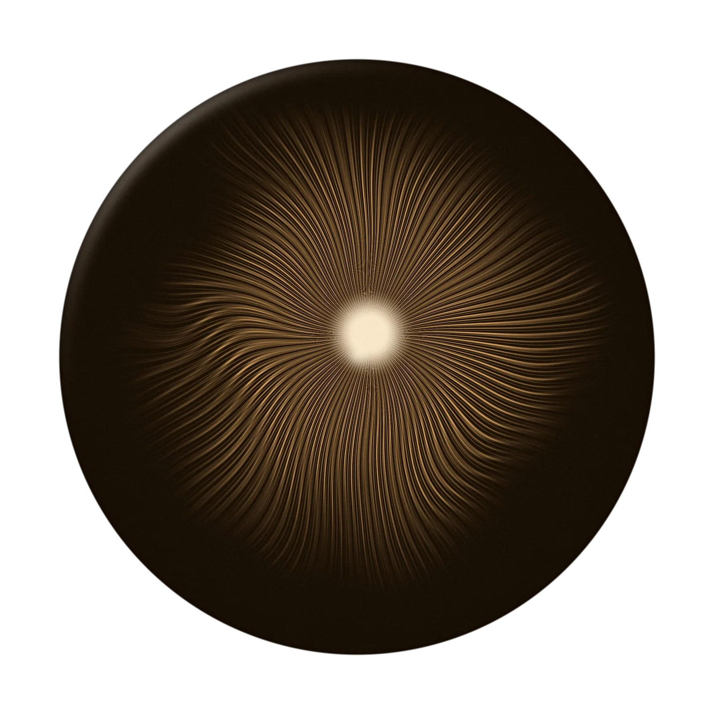 VEIL cover