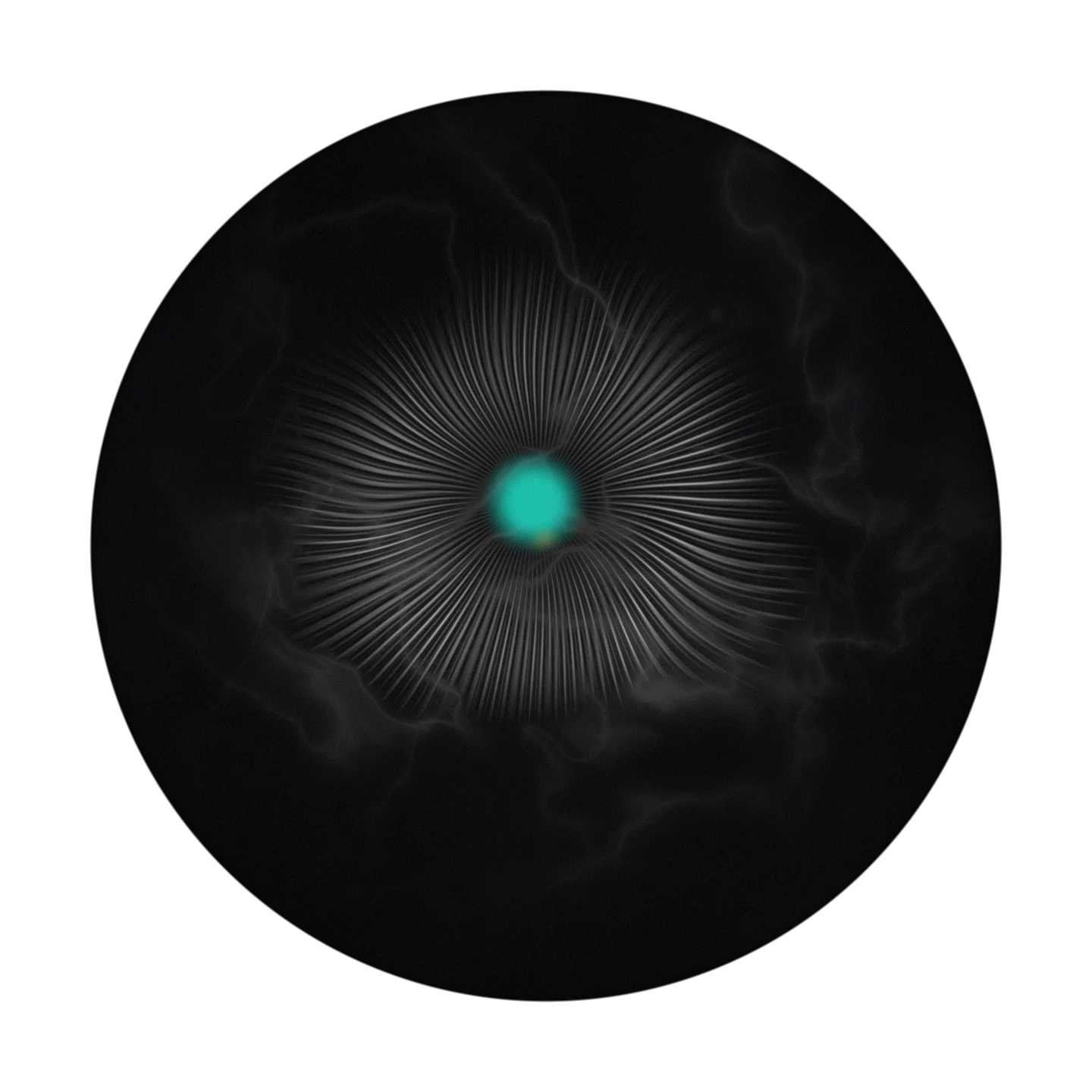 VIGIL cover