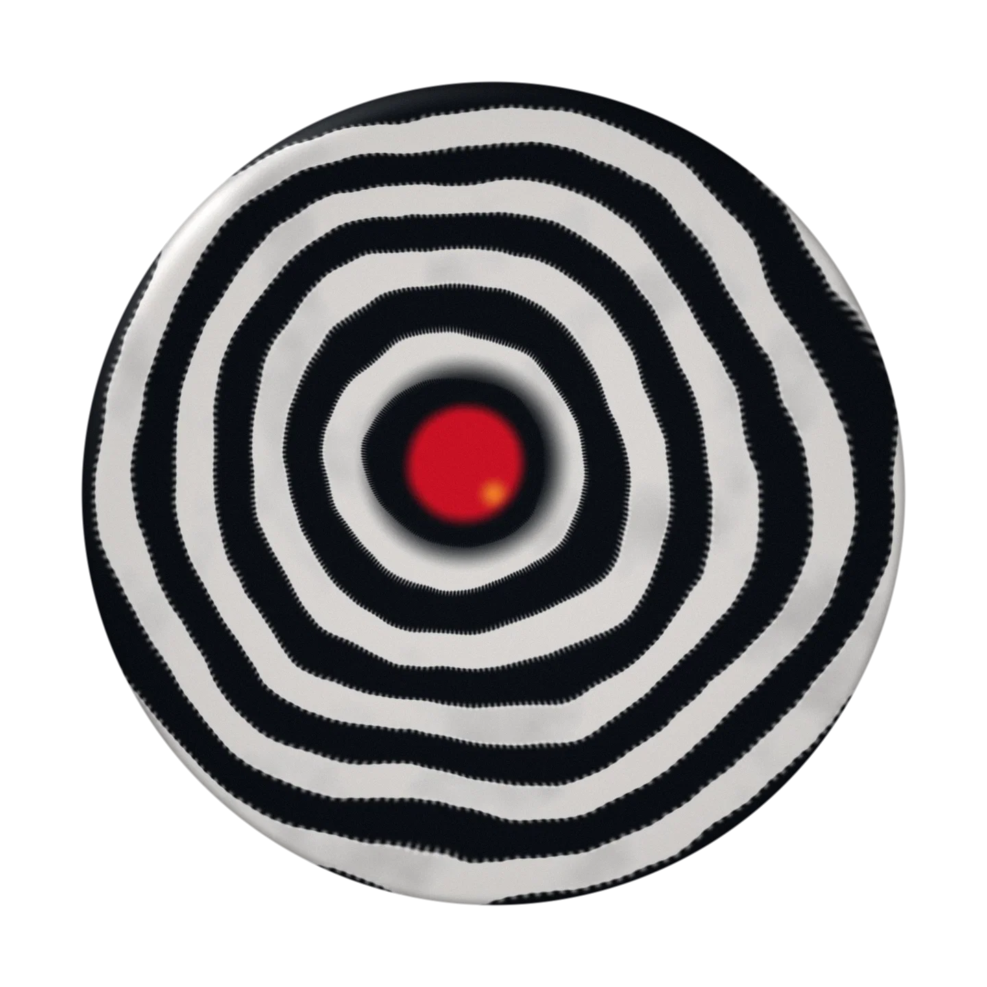 ZEBRA cover