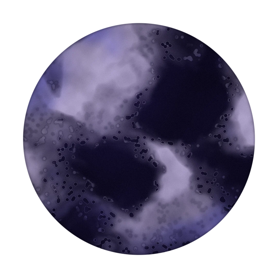 HARVEST MOON cover