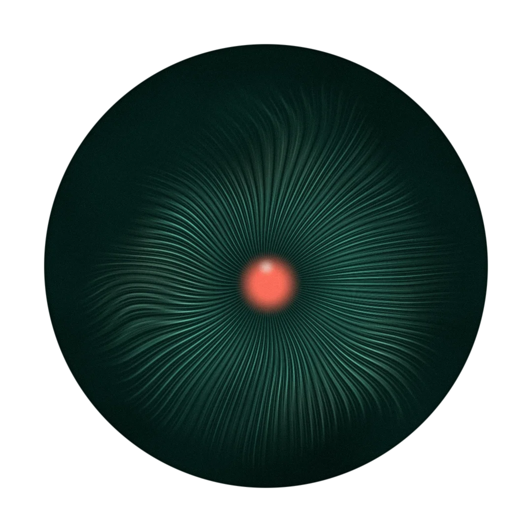 DESTINATION cover