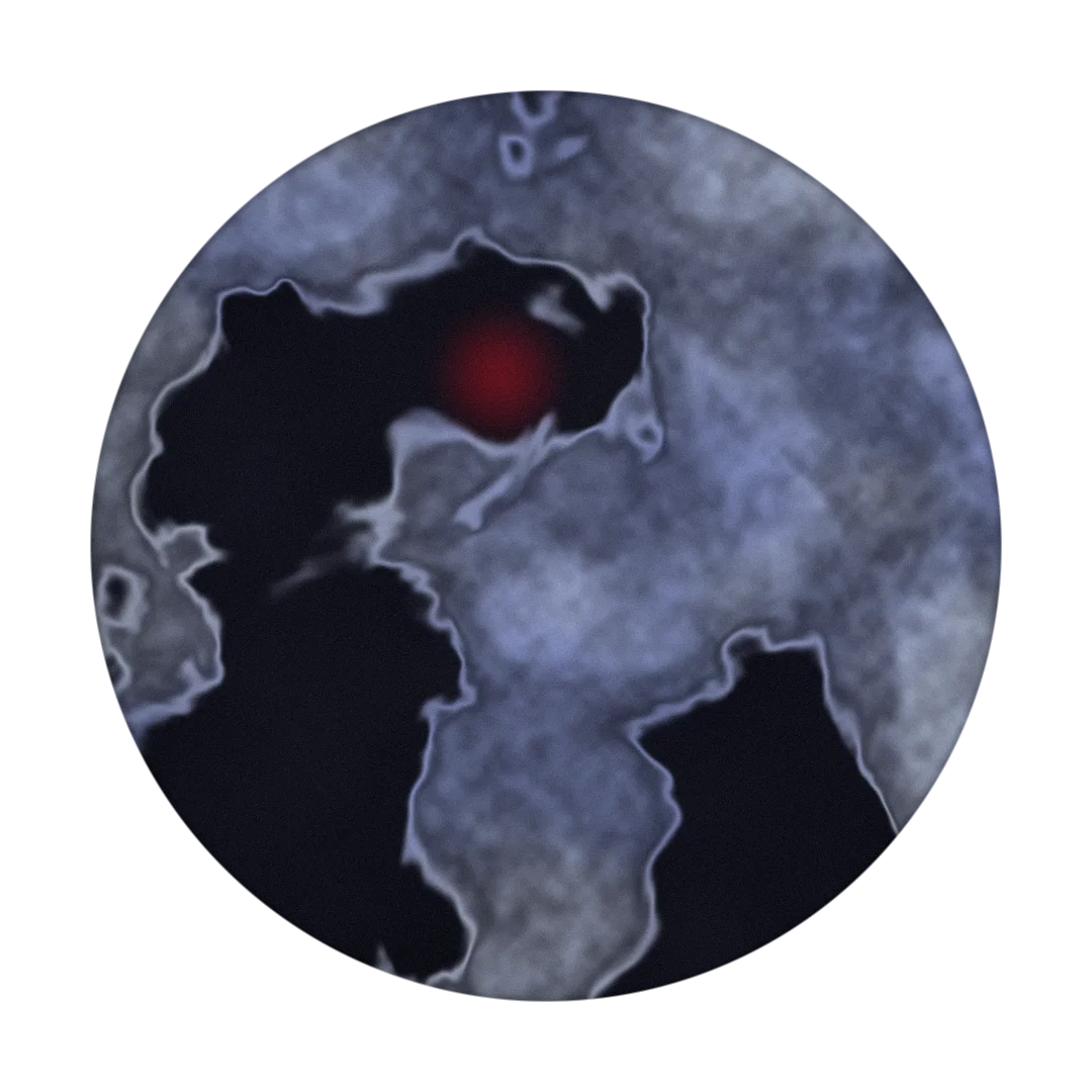 NIGHTRIDA cover