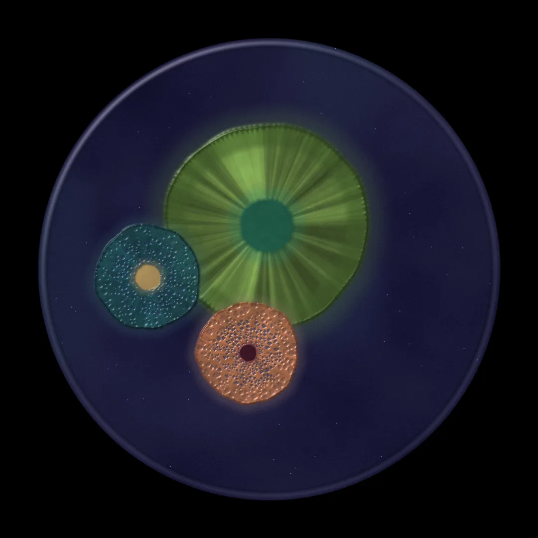 ATRIUM cover