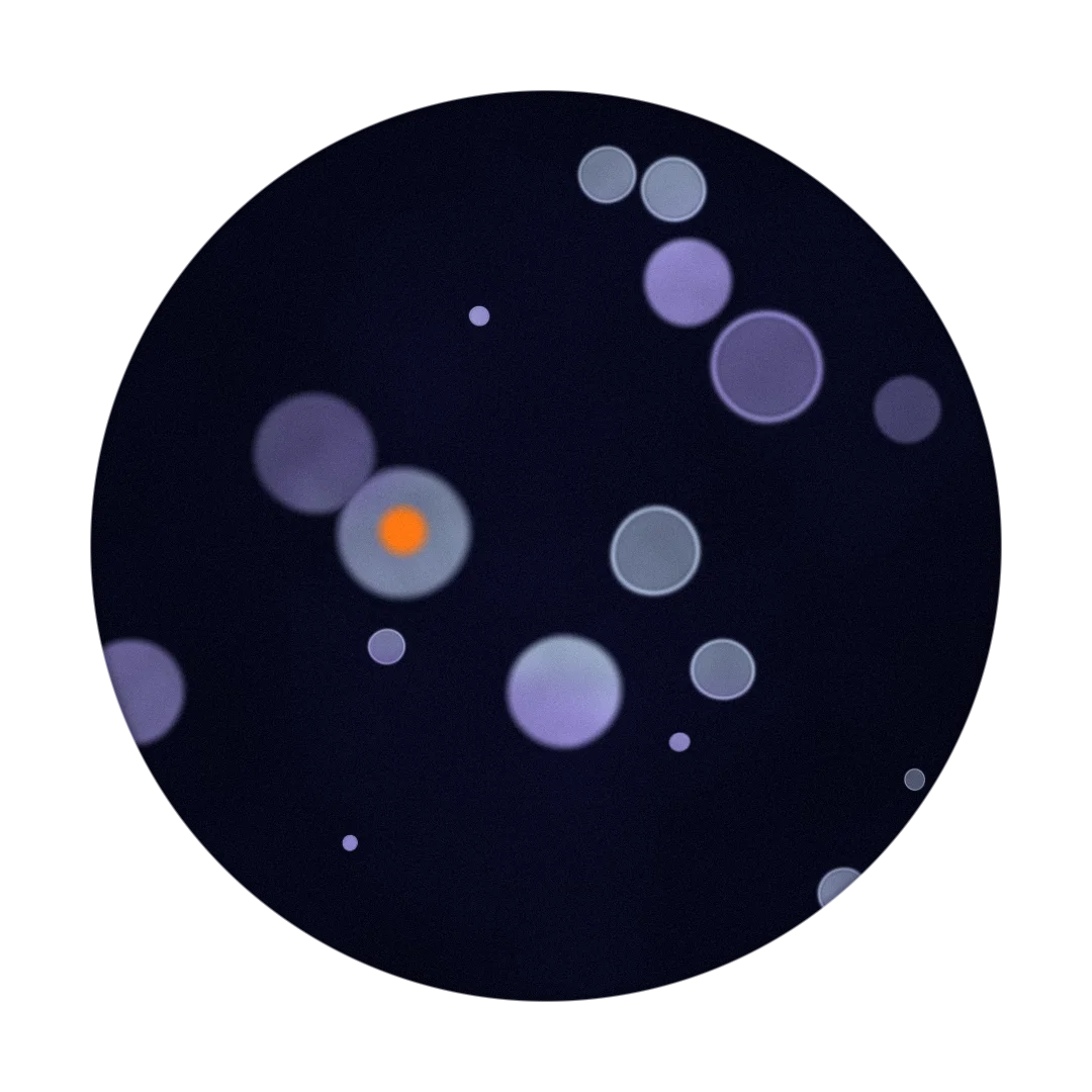 BLUEMOON cover