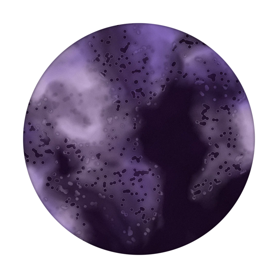 CARGO cover