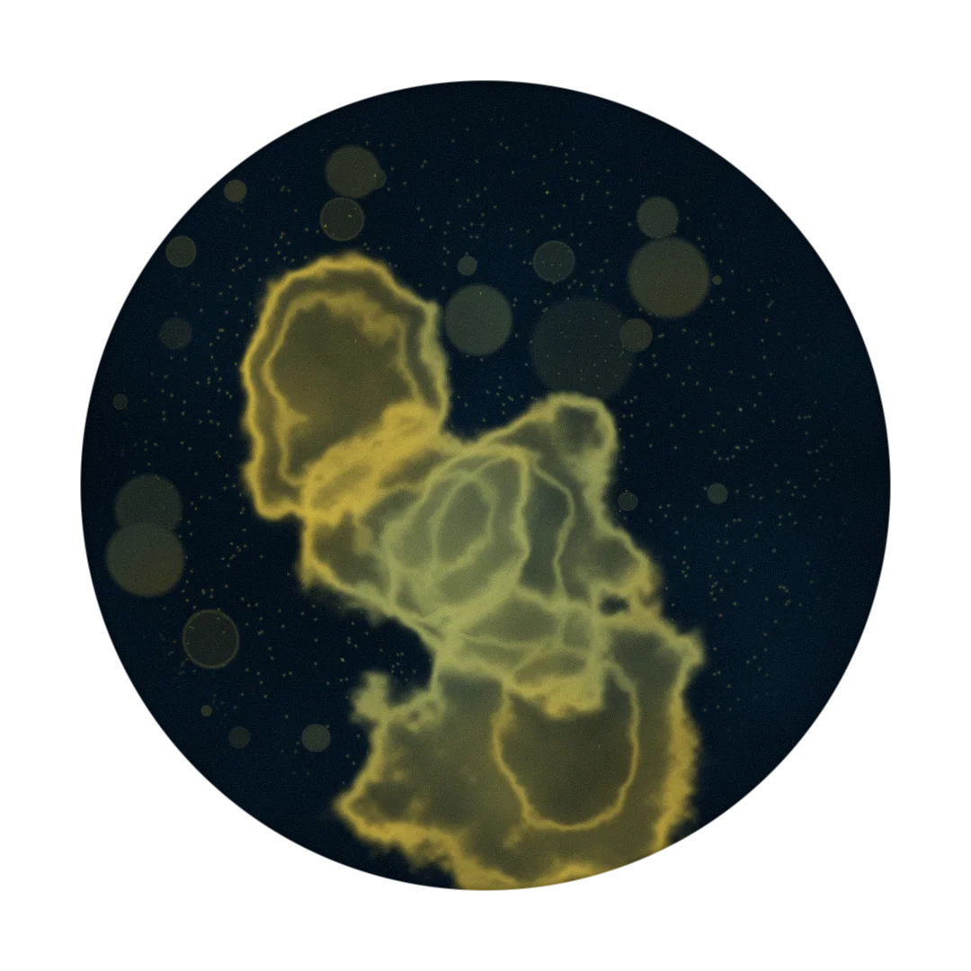 CLOUDLY cover