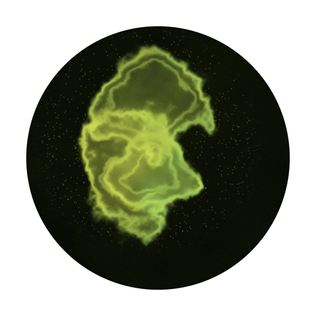 COMMA cover