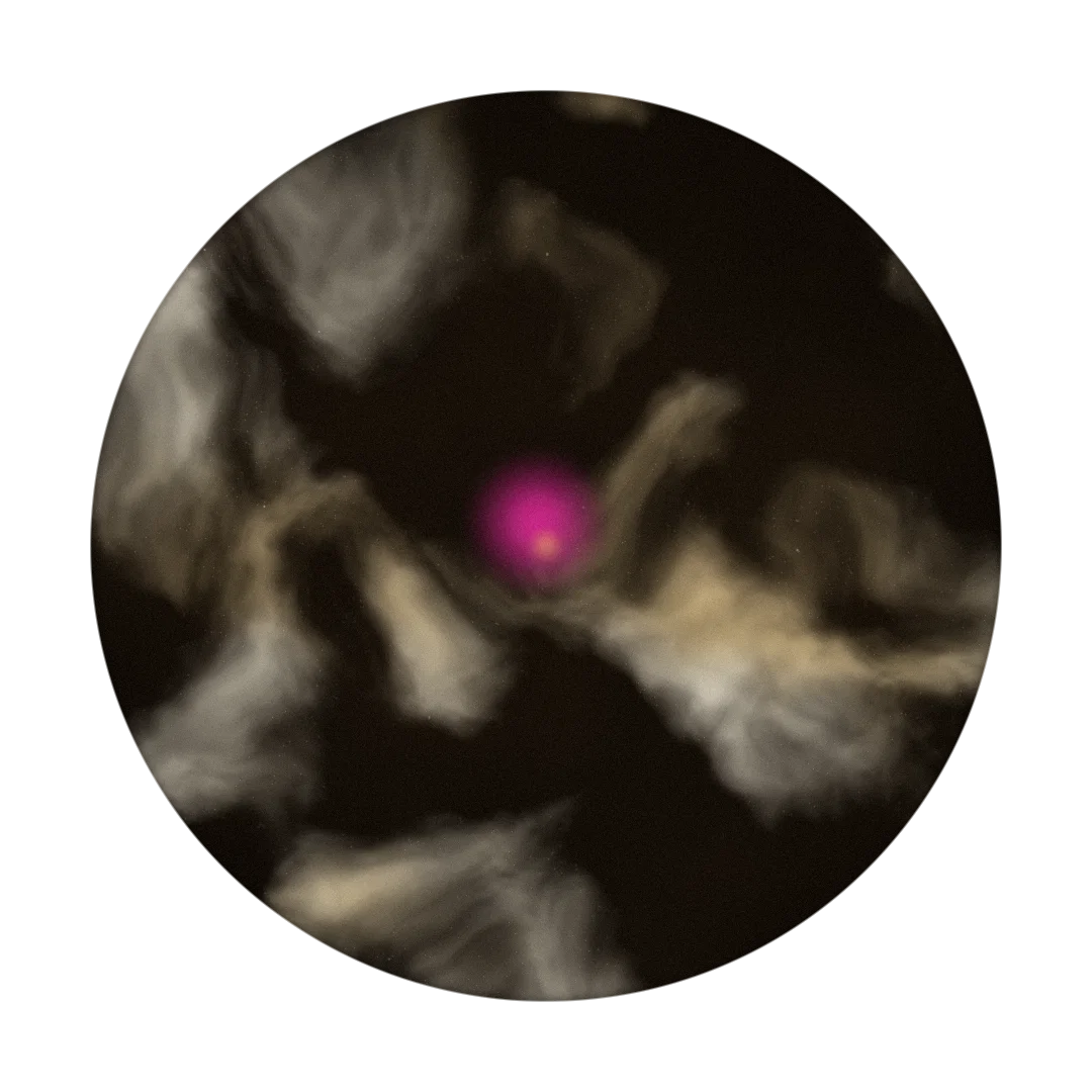 FORESTATNIGHT cover
