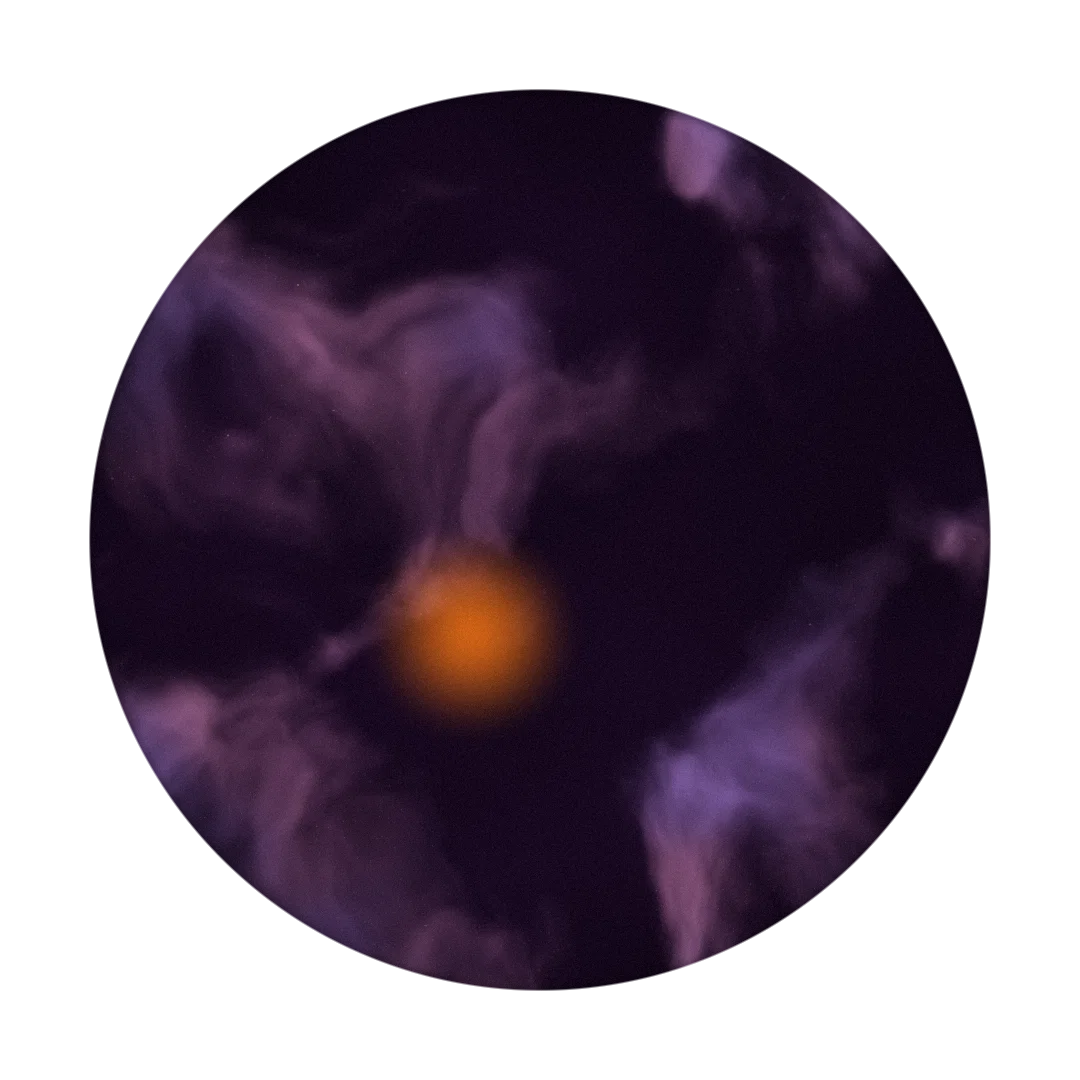 SIMULATION cover