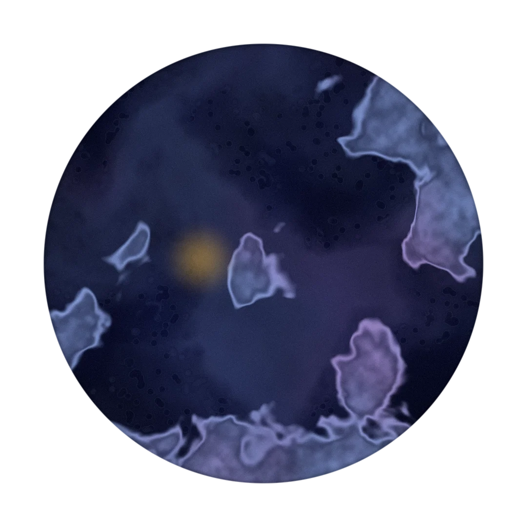 DISCONNECT cover