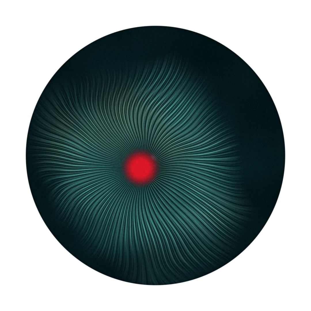 AIMLESS cover