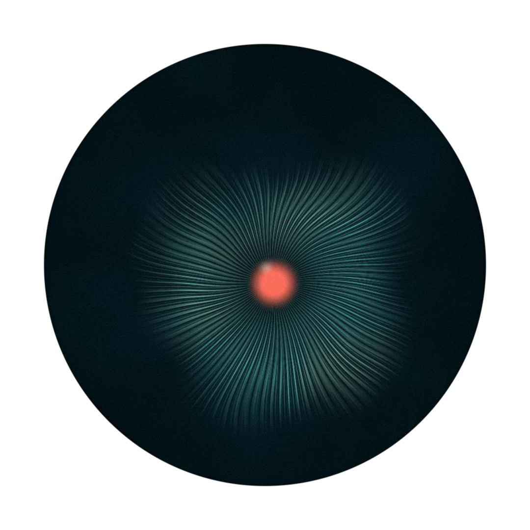 BEND cover