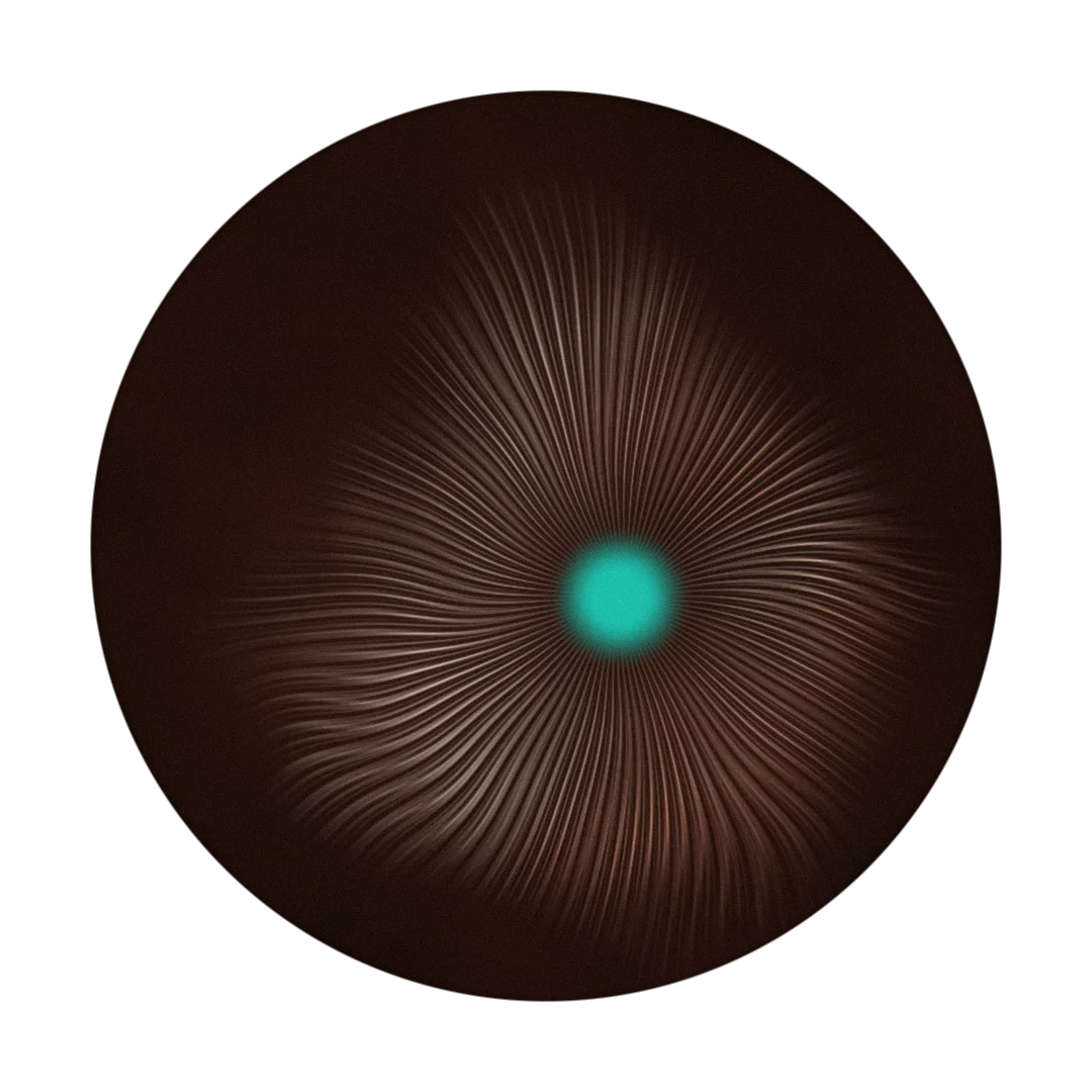 BIO cover