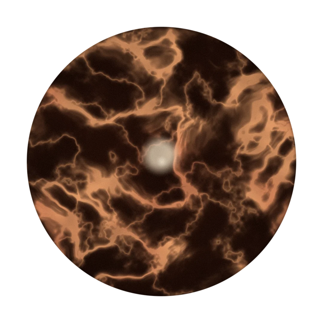 CARNATION cover