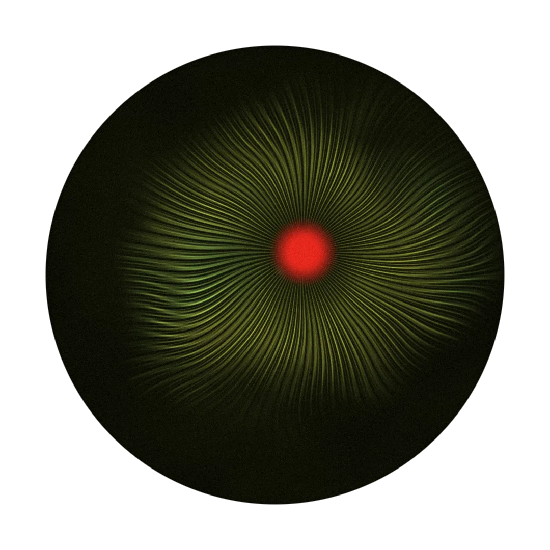 CHRONIC cover