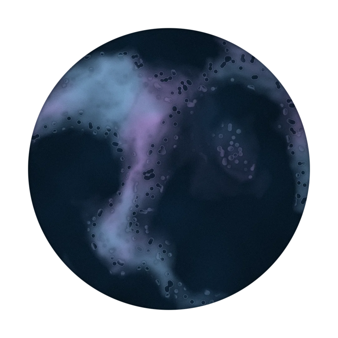 DISECT cover