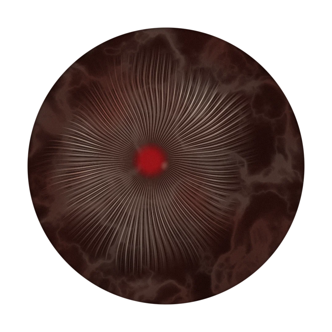 DYNOMITE cover