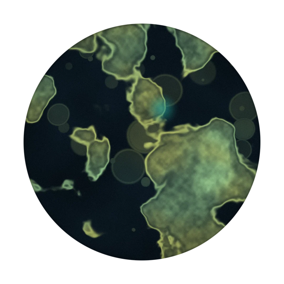 FILLSTHEVOID cover
