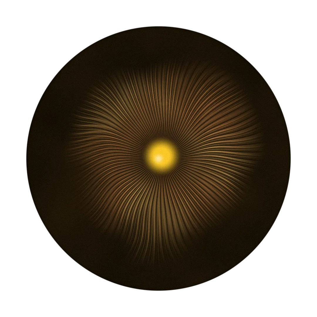 FISHNARC cover