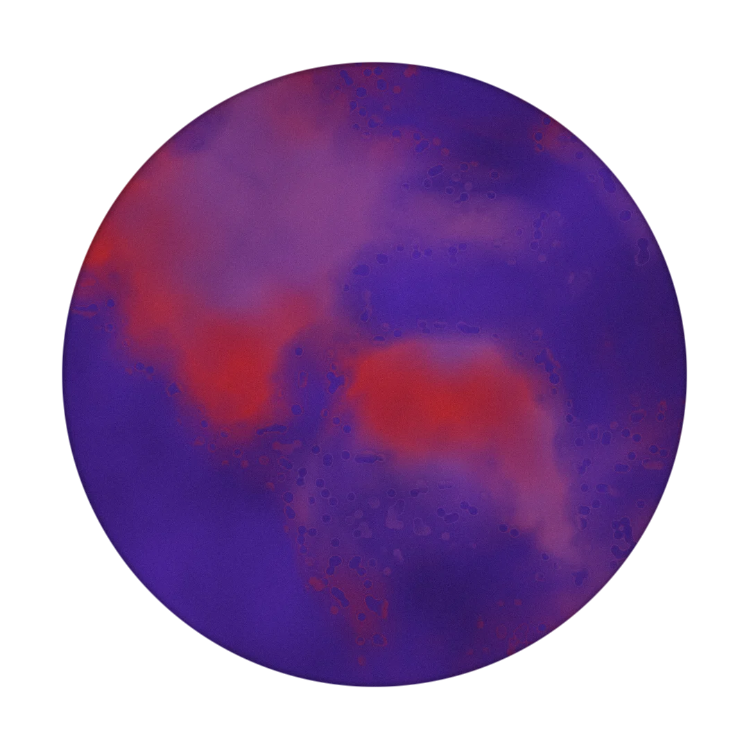 FORMING cover