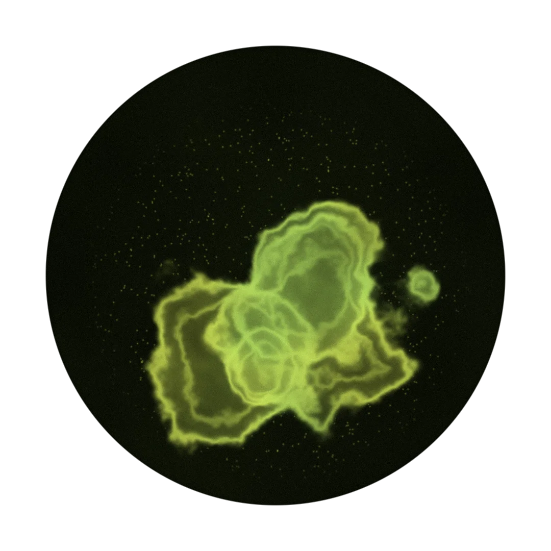 GEODE cover