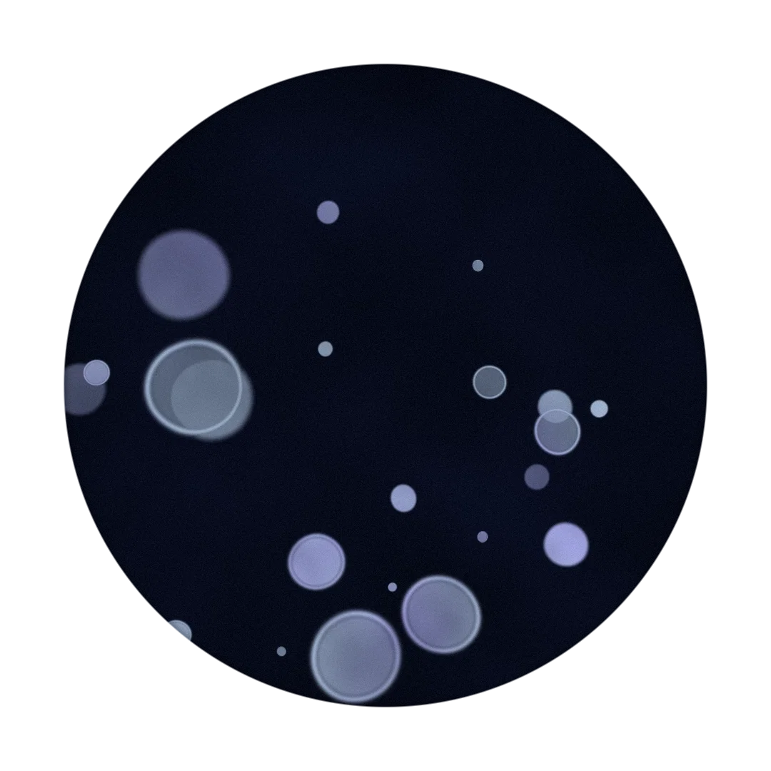 BLOOM cover