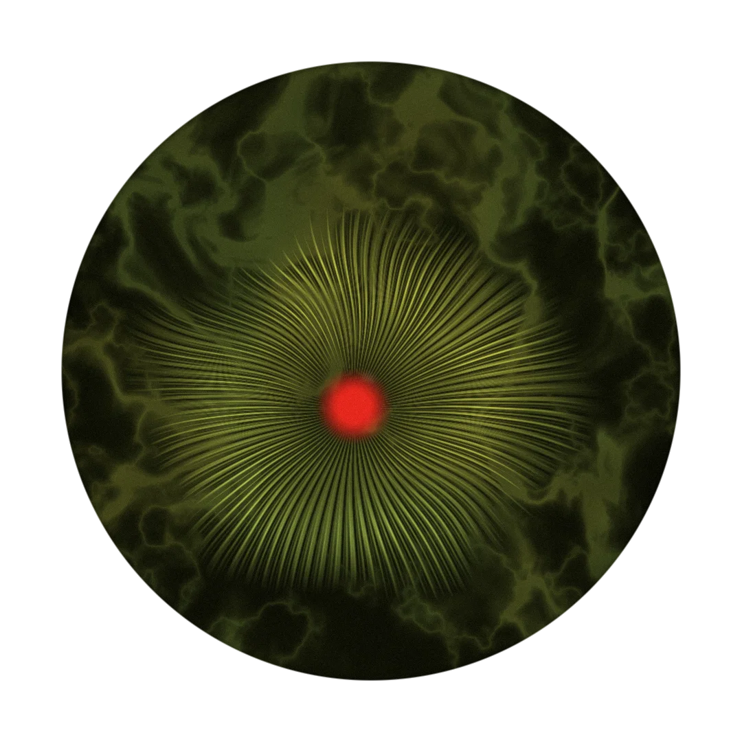 BONZAI cover