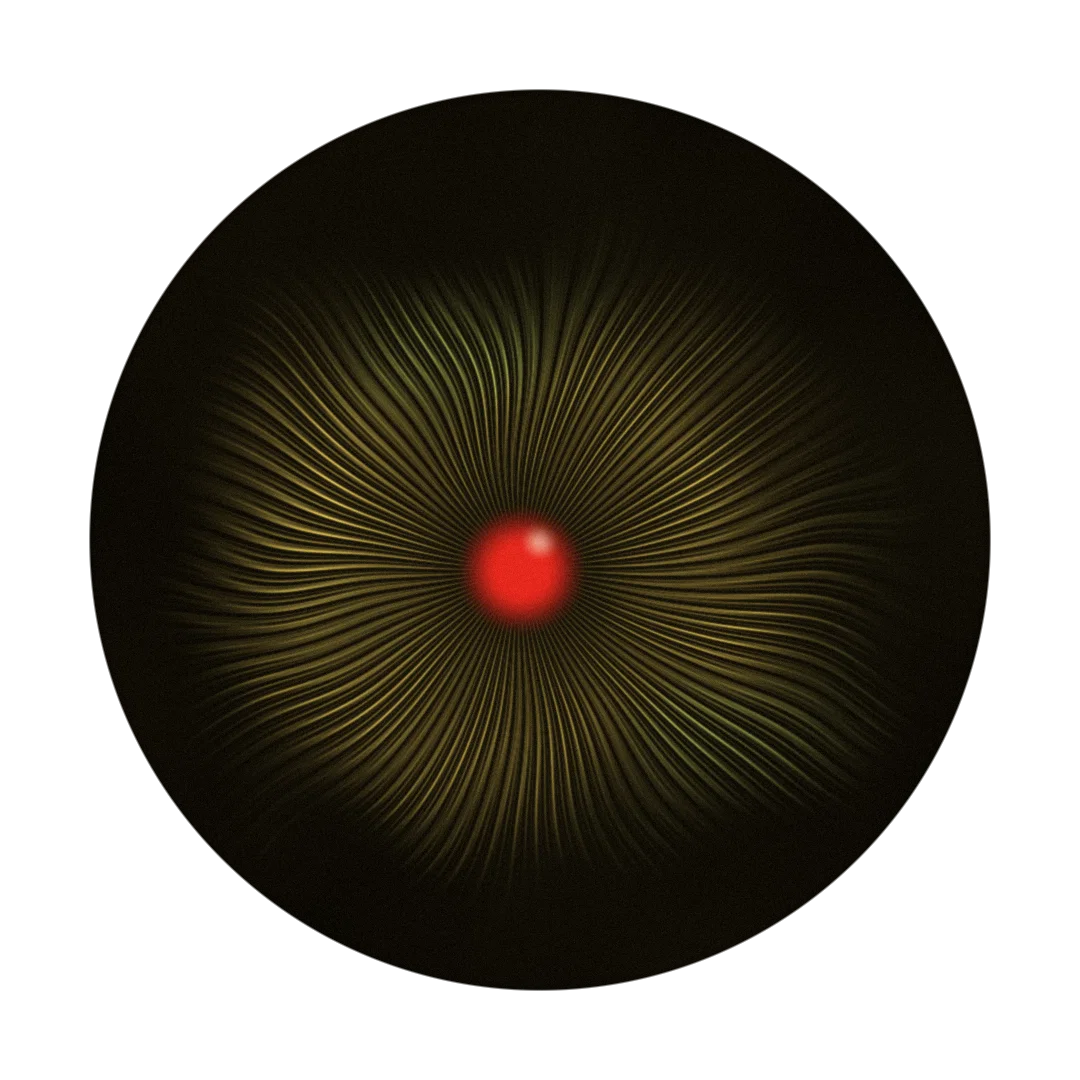 CHAOS II cover