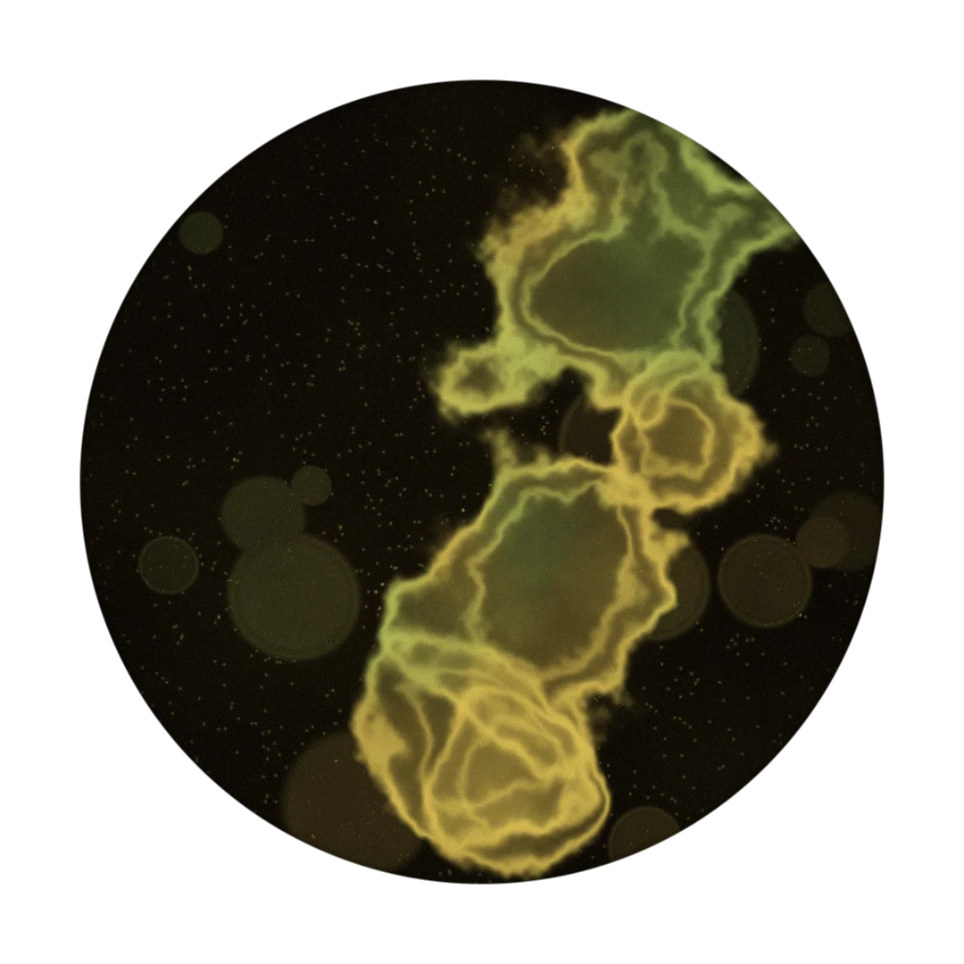 EVE cover