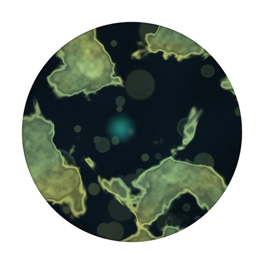 DESERT MOON cover